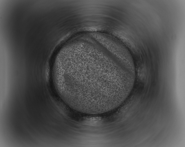 X0000093120304200710101045