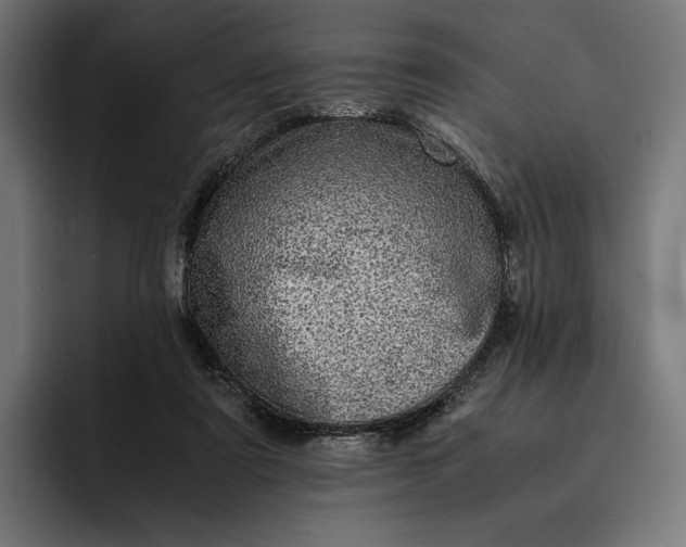 X0000093120307200710101045