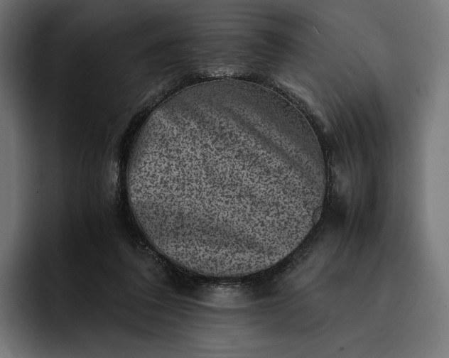 X0000093120308200710101045