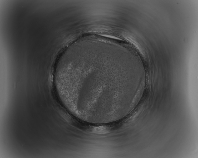 X0000093120309200710101045