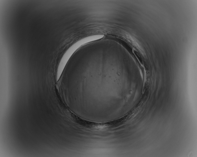 X0000093120313200710101045