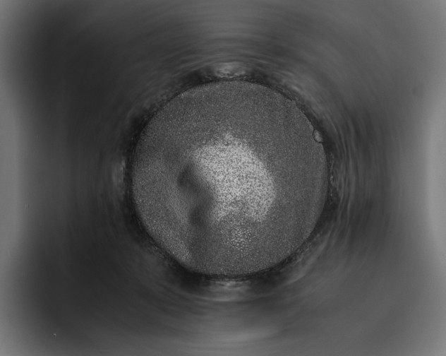 X0000093120319200710101045