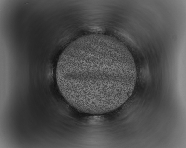 X0000093120320200710101045