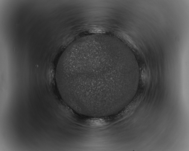 X0000093120322200710101045