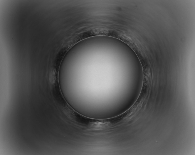 X0000093120323200710101045