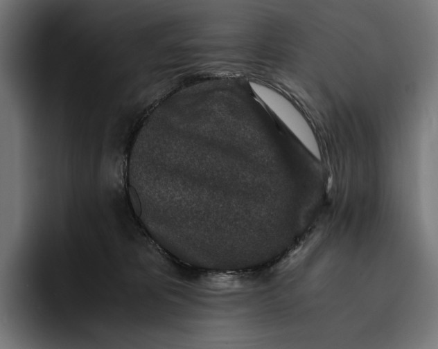 X0000093120325200710101045