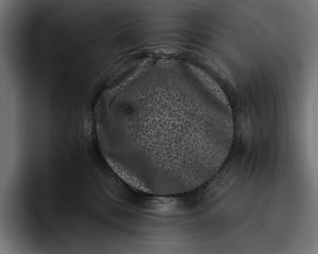 X0000093120328200710101045