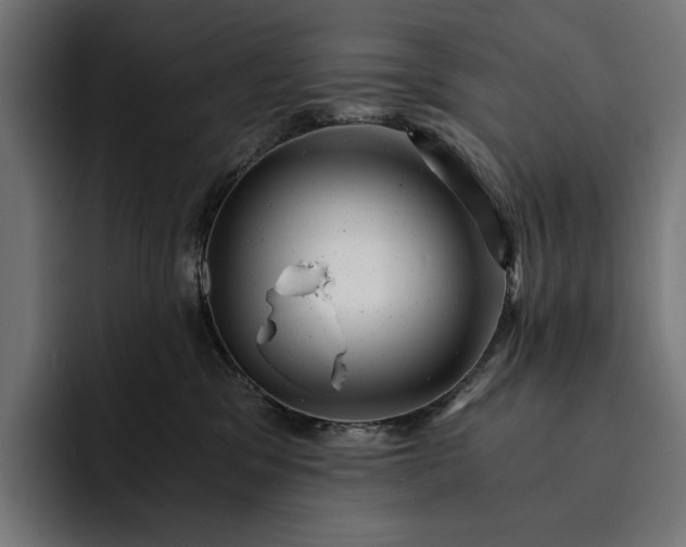 X0000093120329200710101045