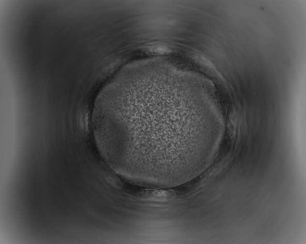 X0000093120330200710101045