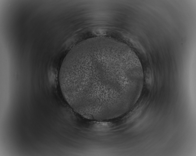 X0000093120332200710101045