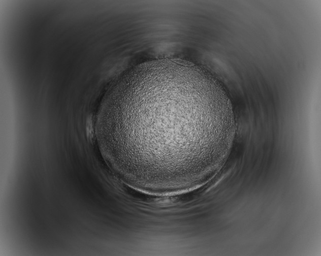 X0000093120335200710101045