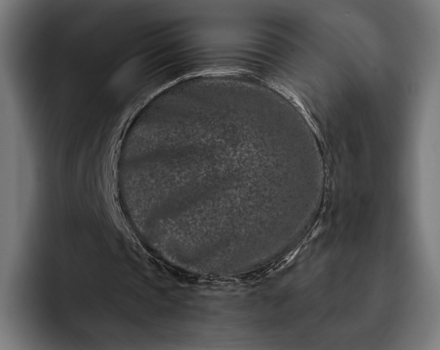 X0000093120337200710101044