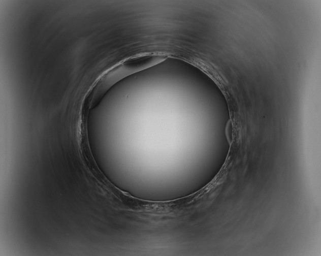 X0000093120338200710101044