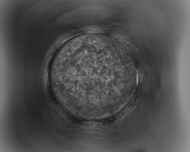 X0000093120339200710101044