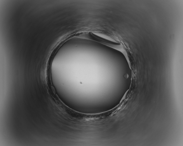 X0000093120340200710101044