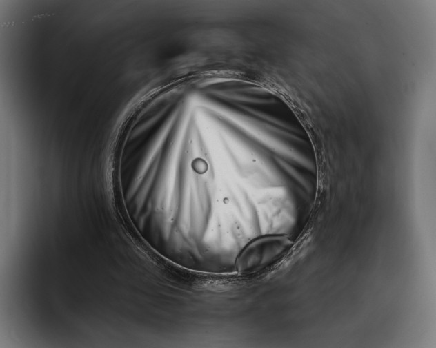 X0000093120341200710101044