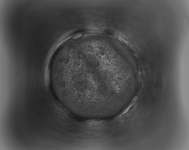 X0000093120343200710101044