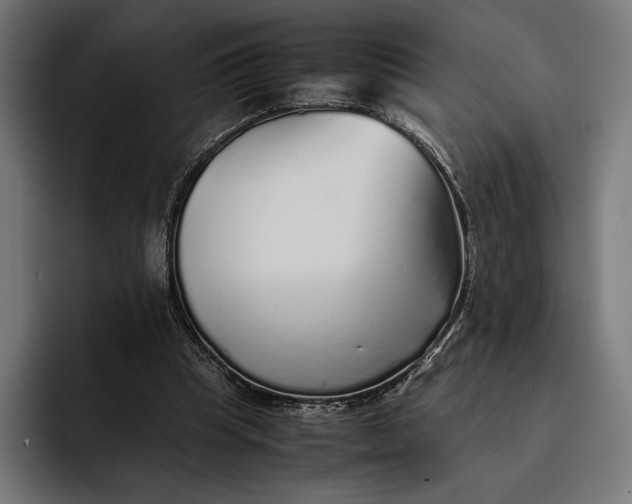 X0000093120345200710101044