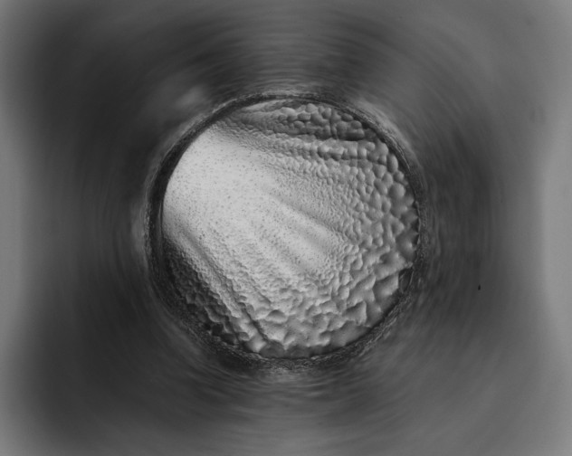 X0000093120346200710101044