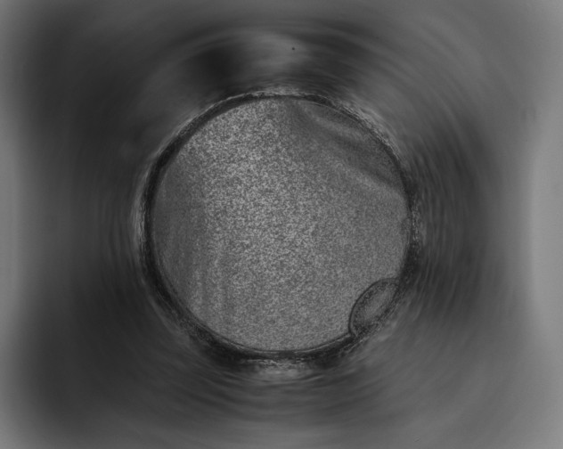 X0000093120347200710101044