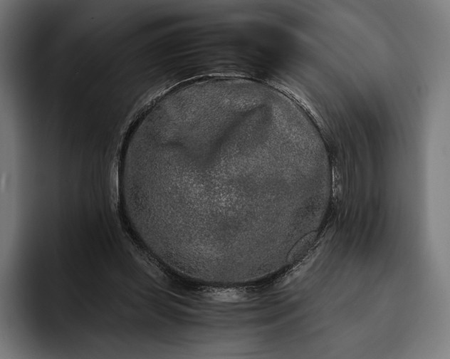 X0000093120349200710101044