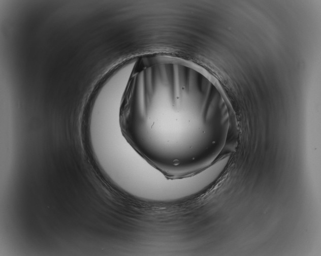 X0000093120350200710101044