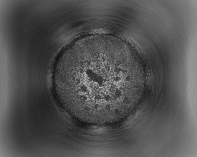 X0000093120351200710101044