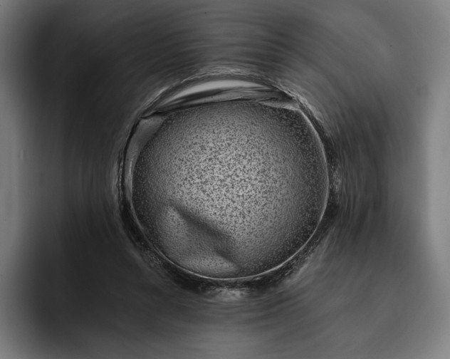 X0000093120352200710101044