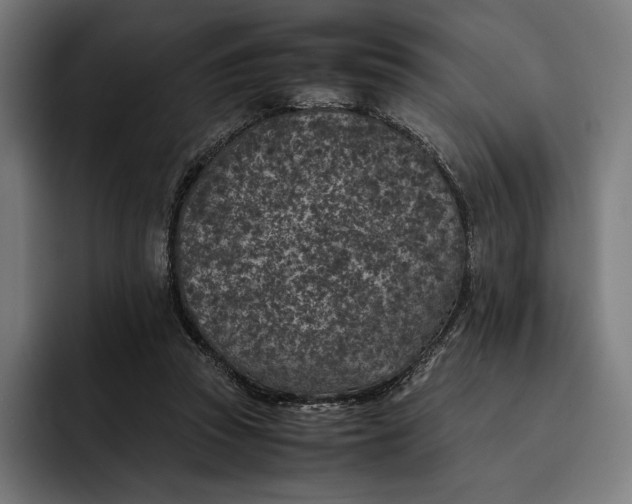 X0000093120353200710101044