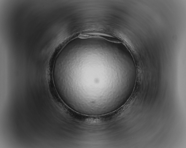 X0000093120354200710101044