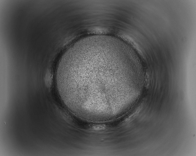 X0000093120355200710101044