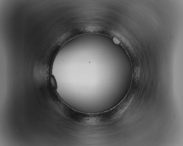 X0000093120356200710101044