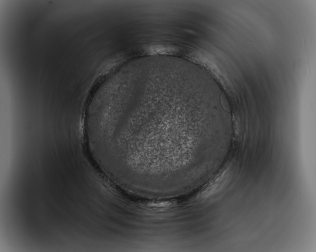 X0000093120357200710101044