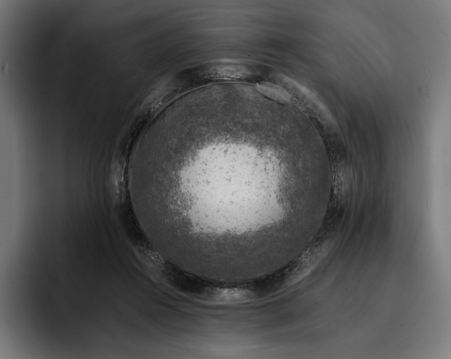 X0000093120360200710101045