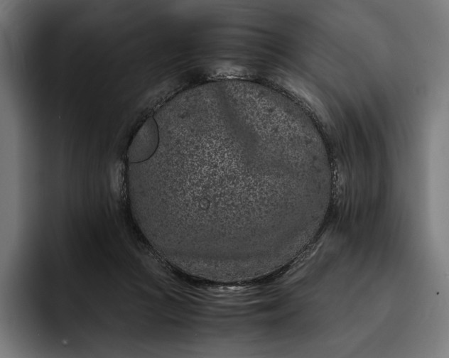 X0000093120361200710101045