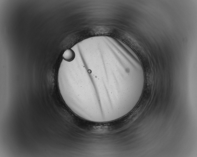 X0000093120362200710101045