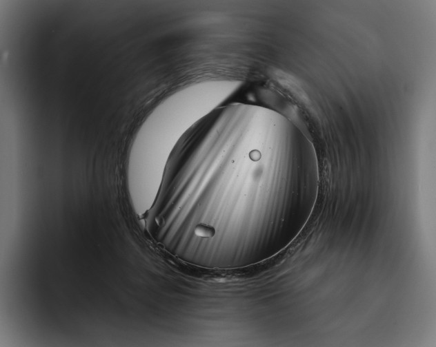 X0000093120364200710101045