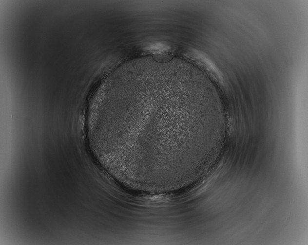 X0000093120365200710101045