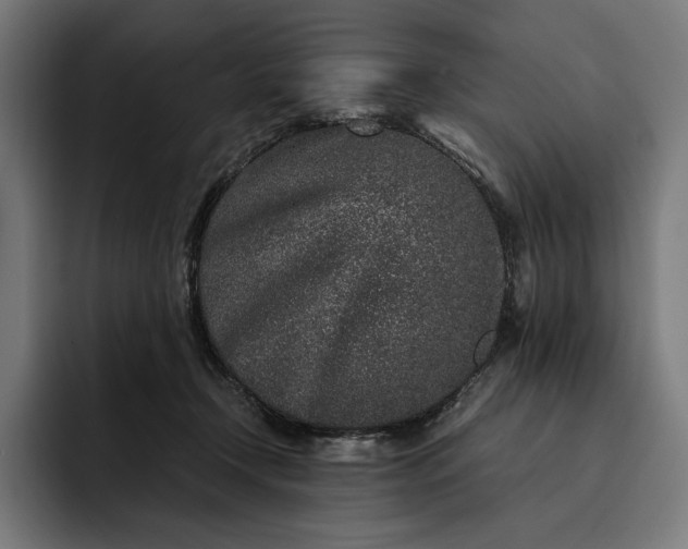 X0000093120366200710101045