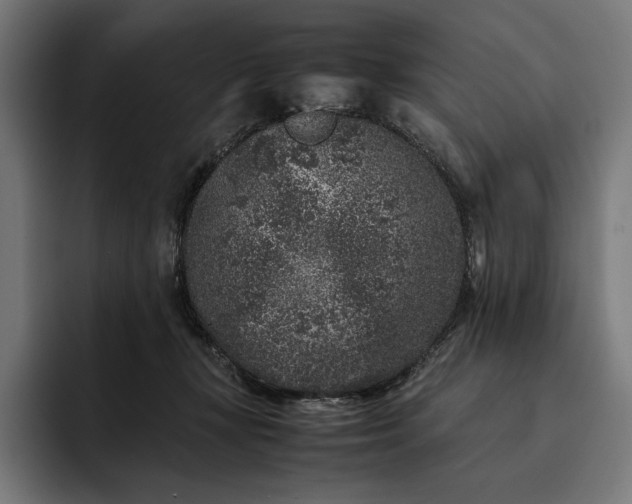 X0000093120367200710101045