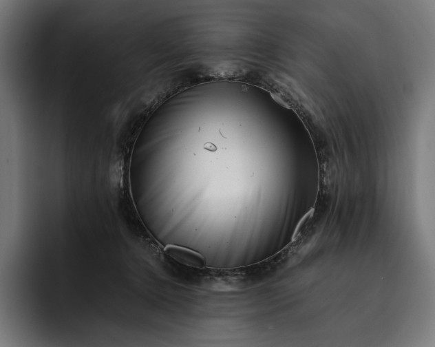 X0000093120368200710101045