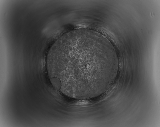 X0000093120369200710101045