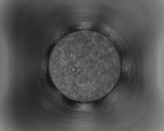 X0000093120370200710101045