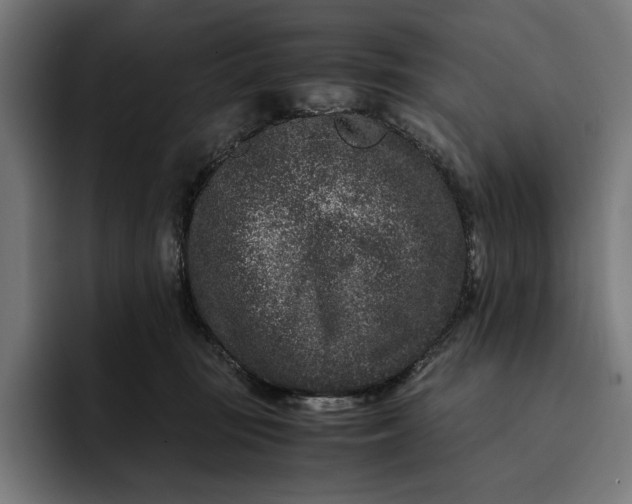 X0000093120371200710101045