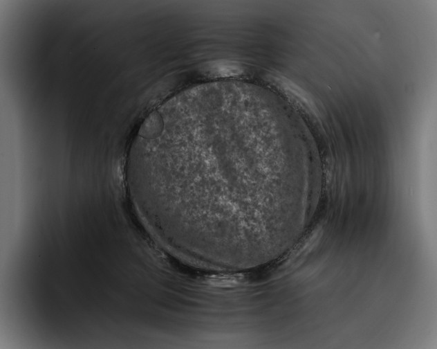 X0000093120373200710101045