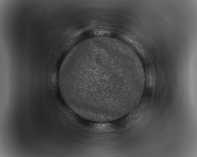 X0000093120375200710101045