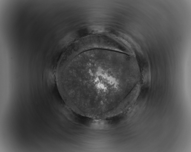 X0000093120376200710101045