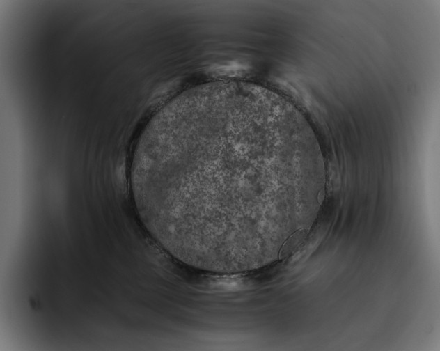 X0000093120377200710101045