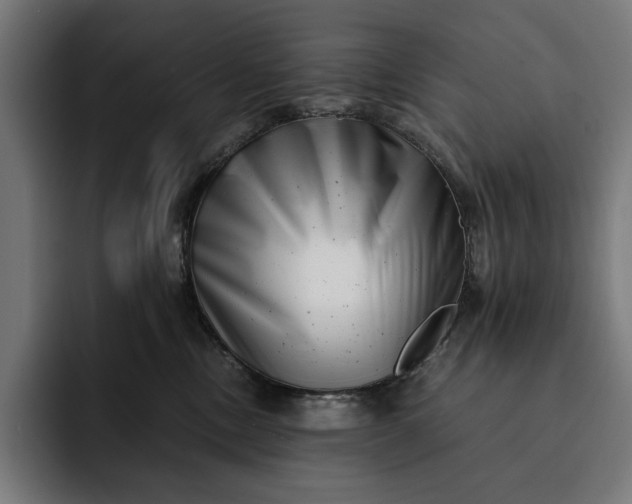 X0000093120378200710101045