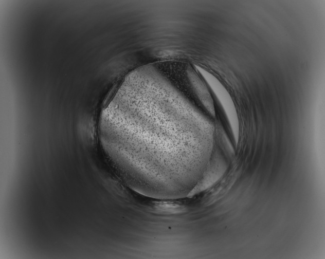 X0000093120380200710101045